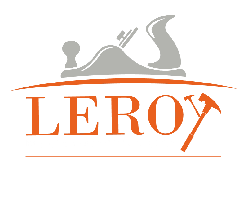 Dimitri_Leroy_MTLEROY2026_promopub_QW_principal